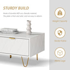 Modern Coffee Table with Double Storage Drawers Wooden TV Cabinet Side Table for Apartment &Living Room